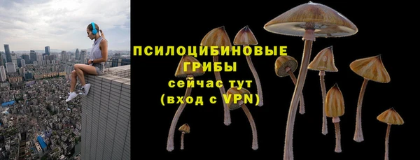 прущая мука Дмитровск