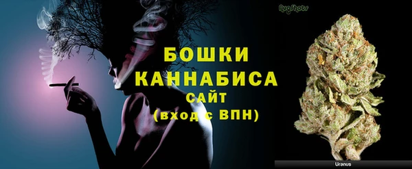 дмт Елабуга