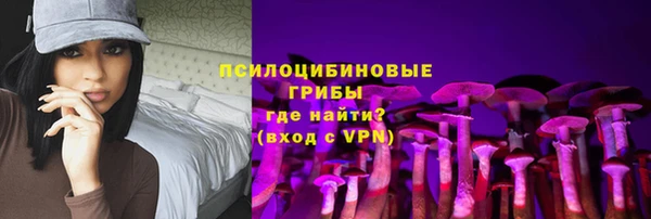 ПСИЛОЦИБИНОВЫЕ ГРИБЫ Ельня