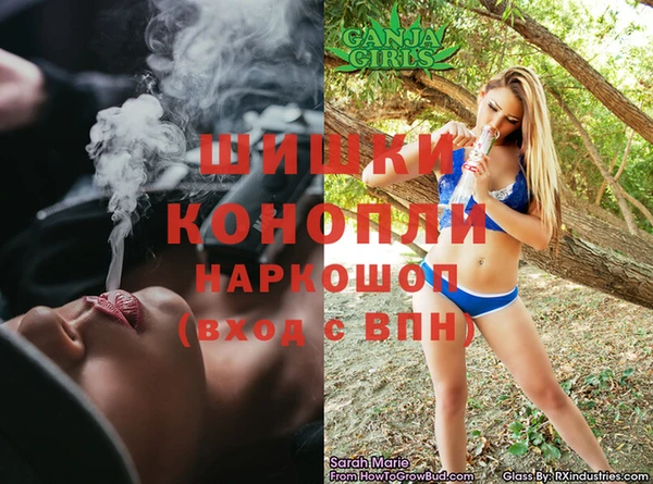 ПСИЛОЦИБИНОВЫЕ ГРИБЫ Ельня