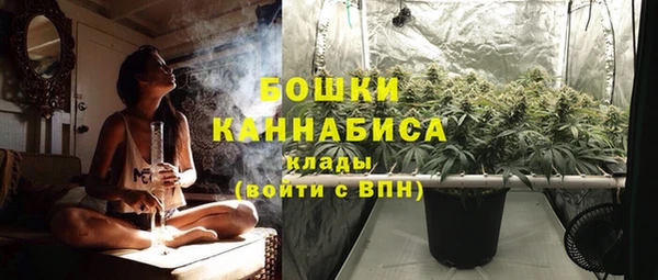 дмт Елабуга