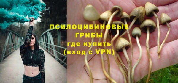 ПСИЛОЦИБИНОВЫЕ ГРИБЫ Ельня
