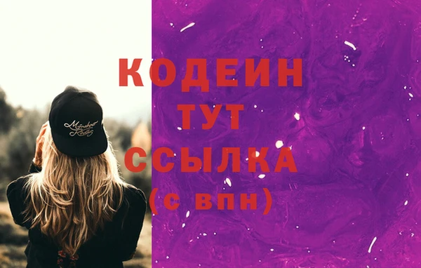 ПСИЛОЦИБИНОВЫЕ ГРИБЫ Ельня