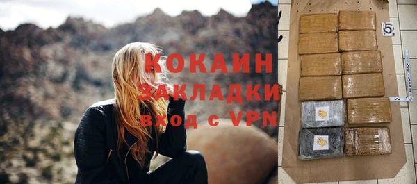 ПСИЛОЦИБИНОВЫЕ ГРИБЫ Ельня