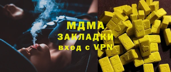 ПСИЛОЦИБИНОВЫЕ ГРИБЫ Ельня