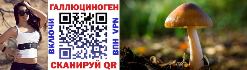 Купить закладки  Калач-на-Дону  Галлюциногенные грибы мицелий 